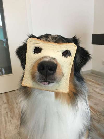 Hier ist der Spaßthread. Zum Schmunzeln und Kaputtlachen-Beitrag-Bild