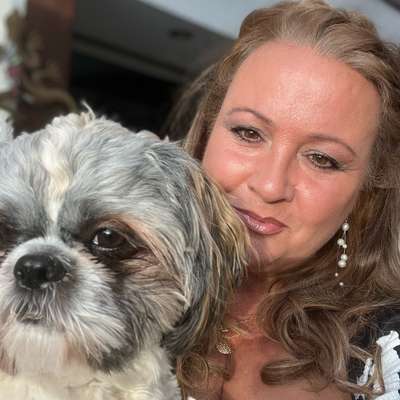 Hundetreffen-11 Monate alter Shih Tzu sucht Spielkameraden und Gassirunden-Bild