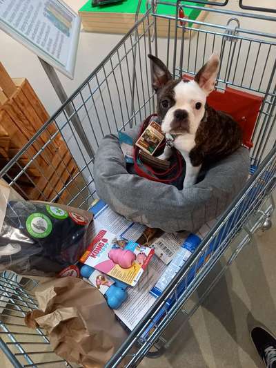 Lieblingsbild-Beitrag-Bild