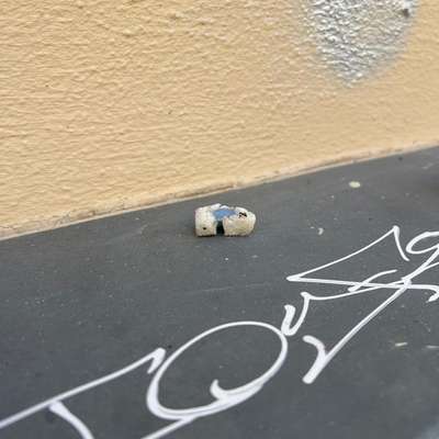 Giftköder-Potentieller Giftköder-Bild