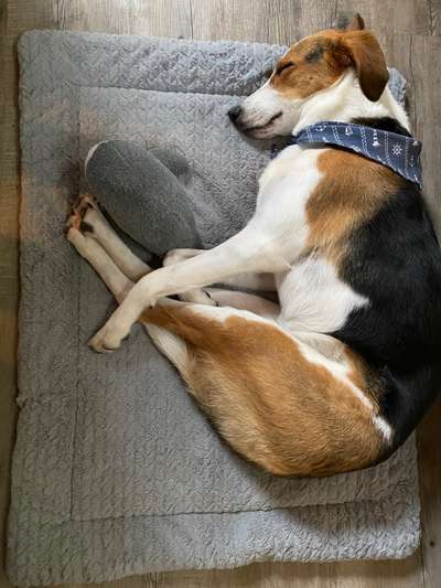 Die unbequemsten und lustigsten Schlafpositionen-Beitrag-Bild