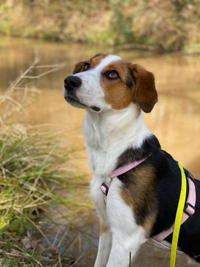 Lieblingsbild-Beitrag-Bild