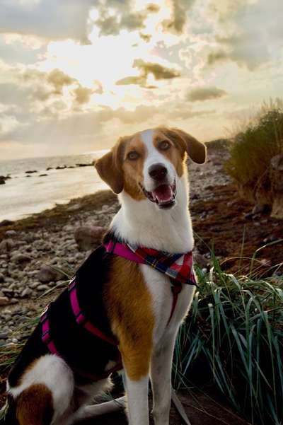 Fotochallenge Nr. 62 Romantische Momente-Beitrag-Bild