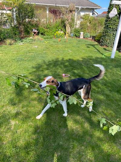 Fotochallenge Nr. 64-Beitrag-Bild