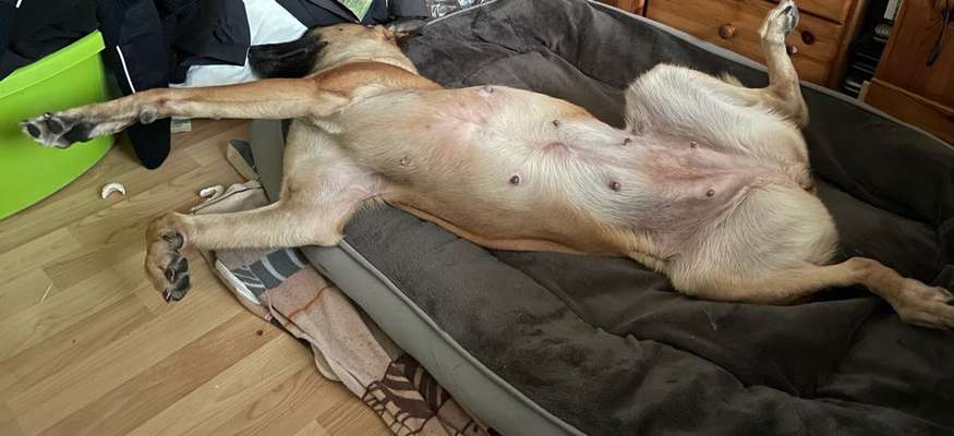 CHALLENGE NR. 34 - Liege-/Schlafpositionen-Beitrag-Bild