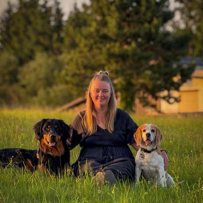 Hundeschulen-traildogs-Bild