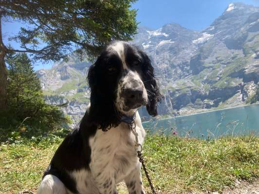 Fotochallenge Nr 107-Beitrag-Bild