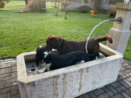 Fotochallenge 128-Beitrag-Bild