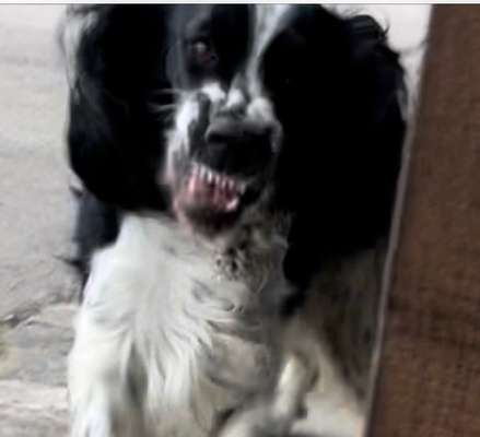 Zeigt eure schönsten Sommerbilder-Beitrag-Bild