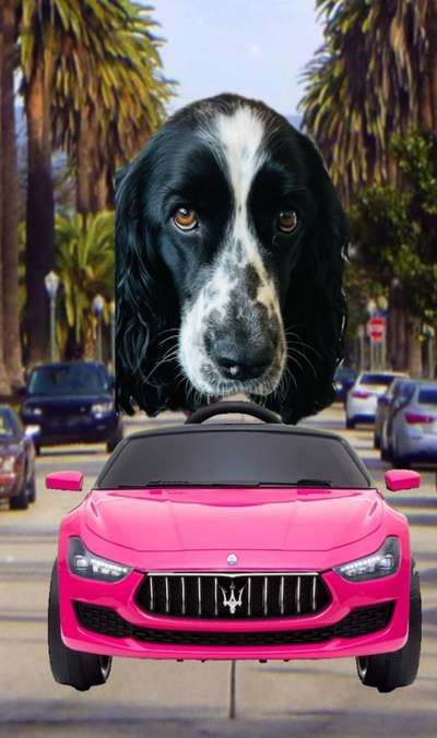 25. Farben Fotochallenge ,,Bernstein"-Beitrag-Bild