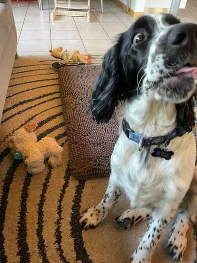 Das beste grinsefoto-Beitrag-Bild