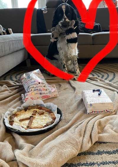 Dogorama Photo Challenge - Herzenshund-Beitrag-Bild