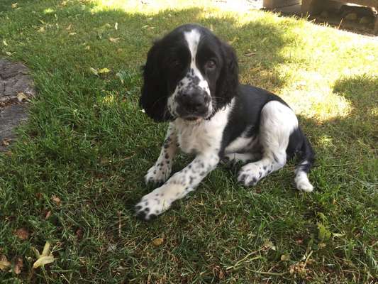 Bettel Blicke-Beitrag-Bild