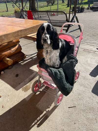 121. Fotochallenge-Beitrag-Bild