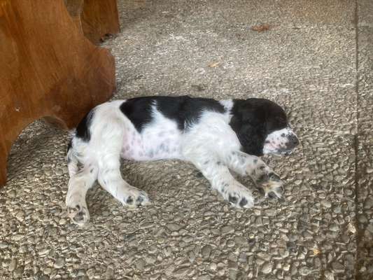 Pause an der Bank-Beitrag-Bild