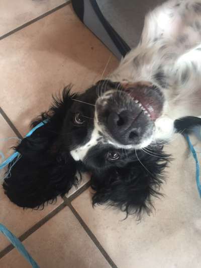 20. Handy -Foto-Callenge-Beitrag-Bild