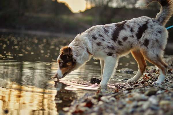 Eure Strandbilder :)-Beitrag-Bild