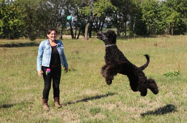 42.Fotochallenge - Eure schönen Momente beim Spaziergang-Beitrag-Bild