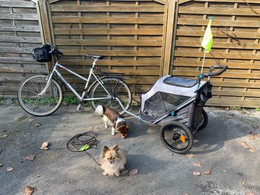 Fahrradanhänger? Lastenrad?-Beitrag-Bild