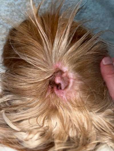 Juckreiz-Beitrag-Bild