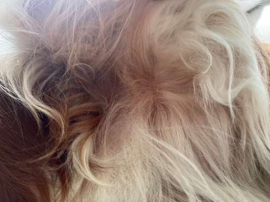 Juckreiz-Beitrag-Bild