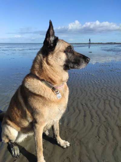 Eure Strandbilder :)-Beitrag-Bild