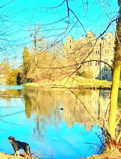 Fotochallenge 87: Im Park-Beitrag-Bild