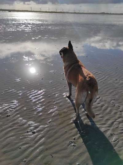 Eure Strandbilder :)-Beitrag-Bild