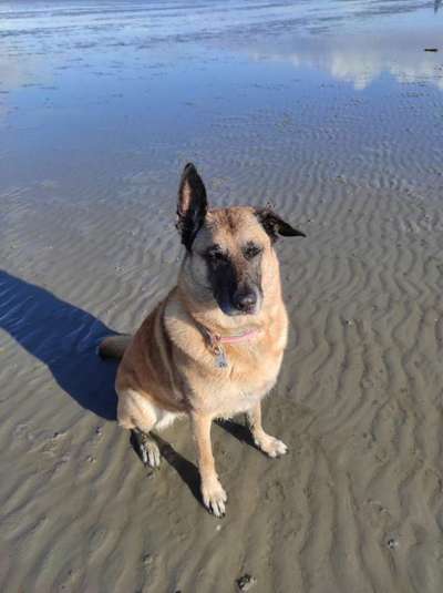 Eure Strandbilder :)-Beitrag-Bild