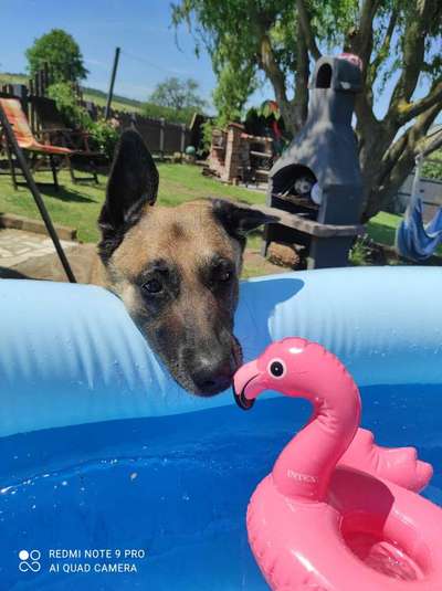 Lieblingsbild-Beitrag-Bild