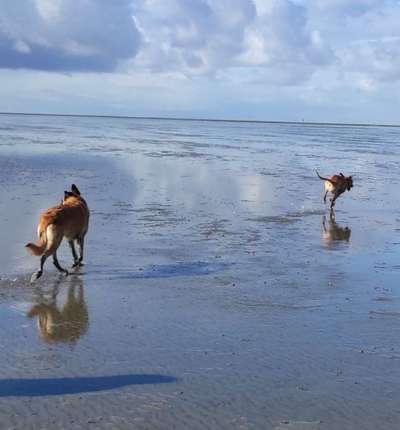 Eure Strandbilder :)-Beitrag-Bild