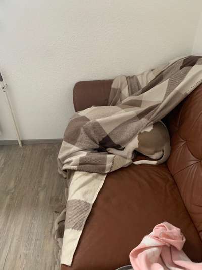 Challenge 21 - wo bin ich : )-Beitrag-Bild