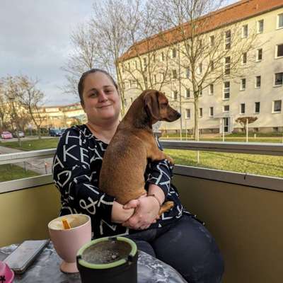 Hundetreffen-Gemeinsames Gassigehen-Profilbild