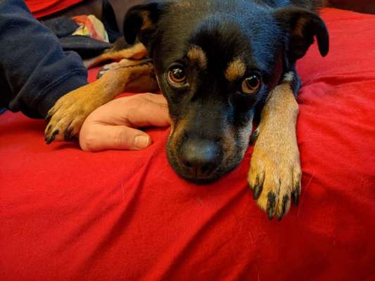 Lieblingsbild-Beitrag-Bild