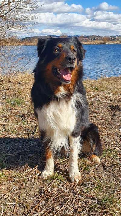 Dogorama Photo Challenge - Der Frühling kommt-Beitrag-Bild