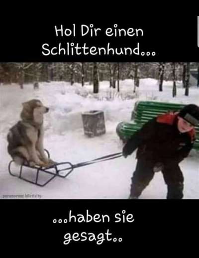 Hier ist der Spaßthread. Zum Schmunzeln und Kaputtlachen-Beitrag-Bild