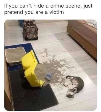 Hier ist der Spaßthread. Zum Schmunzeln und Kaputtlachen-Beitrag-Bild