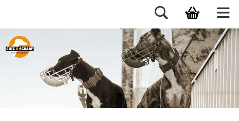 Maulkorb-Beitrag-Bild