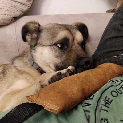 Un...scharf Bilder-Beitrag-Bild