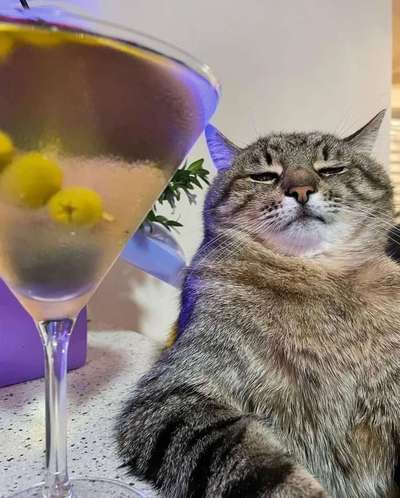 Hier ist der Spaßthread. Zum Schmunzeln und Kaputtlachen-Beitrag-Bild