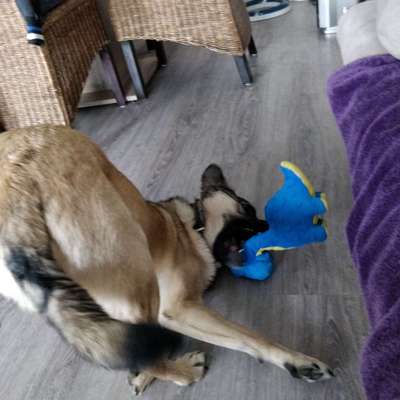 Hier ist der Spaßthread. Zum Schmunzeln und Kaputtlachen-Beitrag-Bild