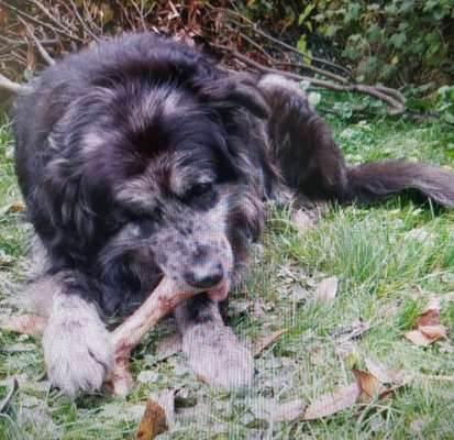 Pullis, Jacken, Hütte und alles sonstiges-Beitrag-Bild