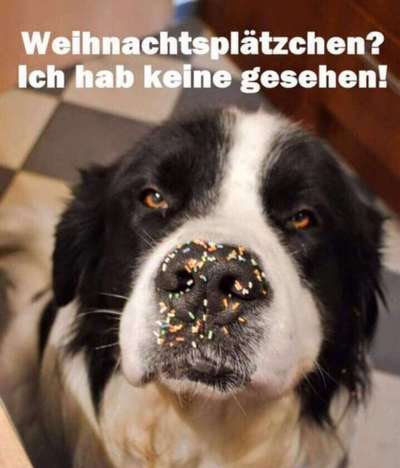 Hier ist der Spaßthread. Zum Schmunzeln und Kaputtlachen-Beitrag-Bild