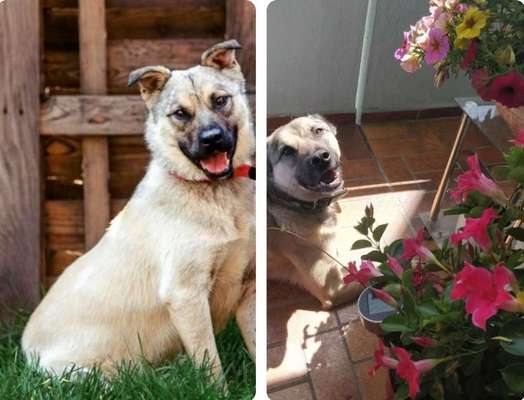 Vorher.... Nachher-Beitrag-Bild