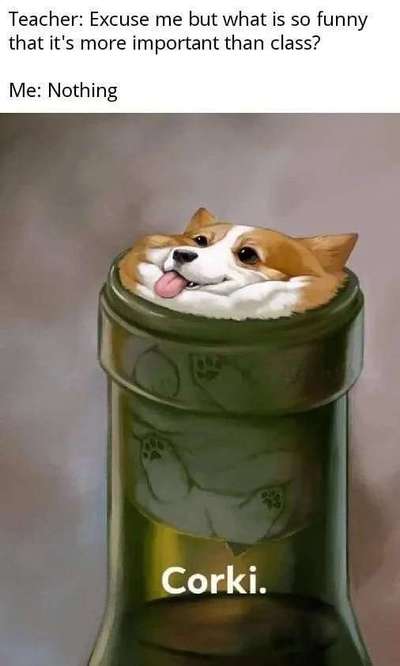 Hier ist der Spaßthread. Zum Schmunzeln und Kaputtlachen-Beitrag-Bild