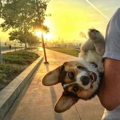 Hier ist der Spaßthread. Zum Schmunzeln und Kaputtlachen-Beitrag-Bild