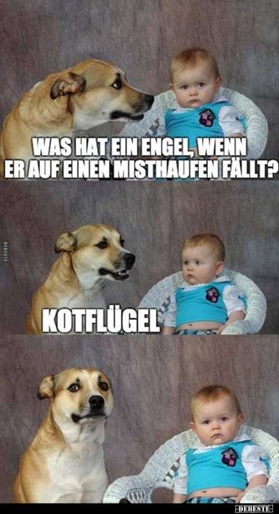 Hier ist der Spaßthread. Zum Schmunzeln und Kaputtlachen-Beitrag-Bild