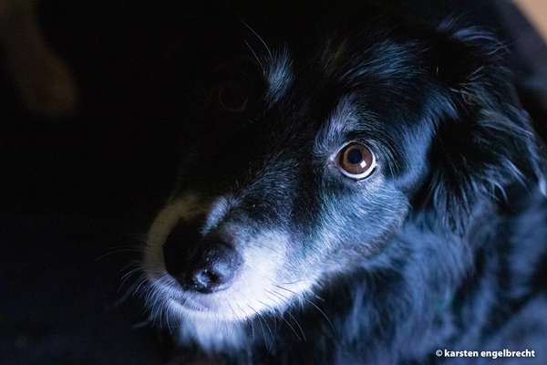 Fotochallenge Nr. 56 - geliebte Senioren-Beitrag-Bild