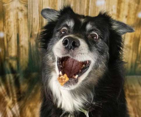 Fotochallange Nr. 57     PORTRÄT.   Beendet!!!!!!!!-Beitrag-Bild