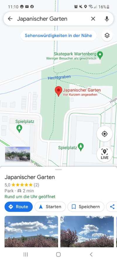 Miniatur Bull Terrier-Beitrag-Bild